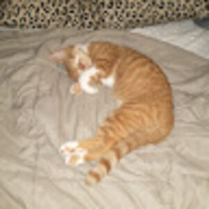 Meet your Posher, Jamie